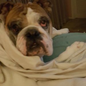 Meet your Posher, Deb